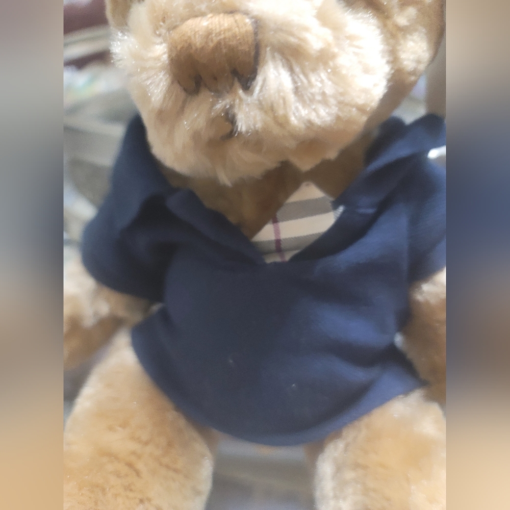 Plush  Burberry Teddy Bear with Blue Nova Check   Authentic 2010 - Picture 4 of 8